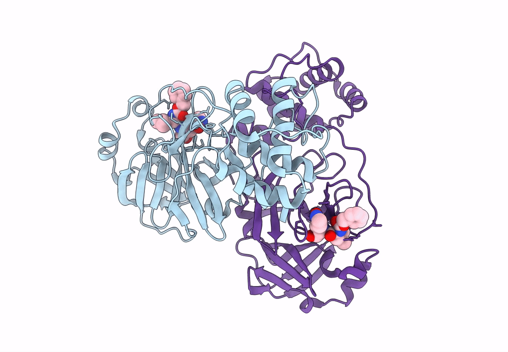 8E4R image