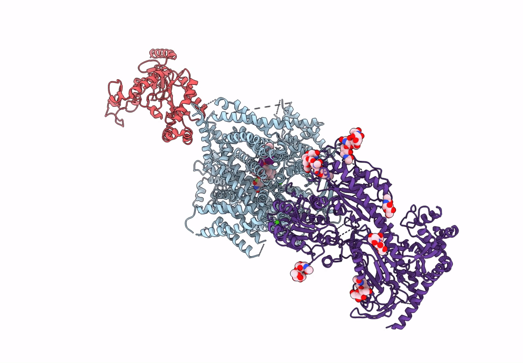 8E5B image