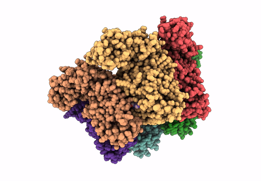 8E5L image