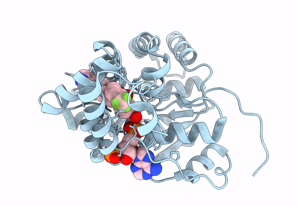 8E5R image