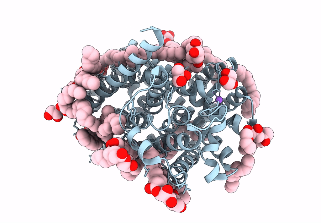 8E5S image