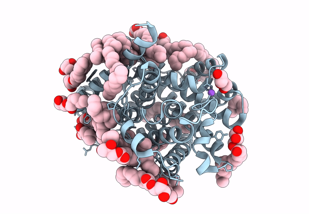 8E5V image