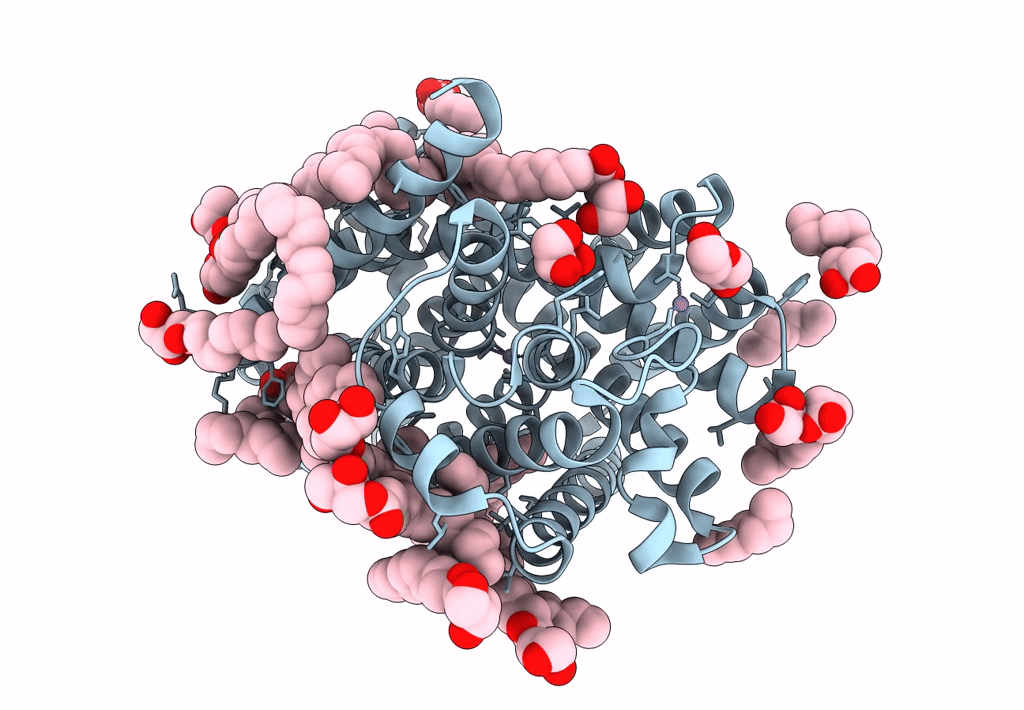 8E60 image