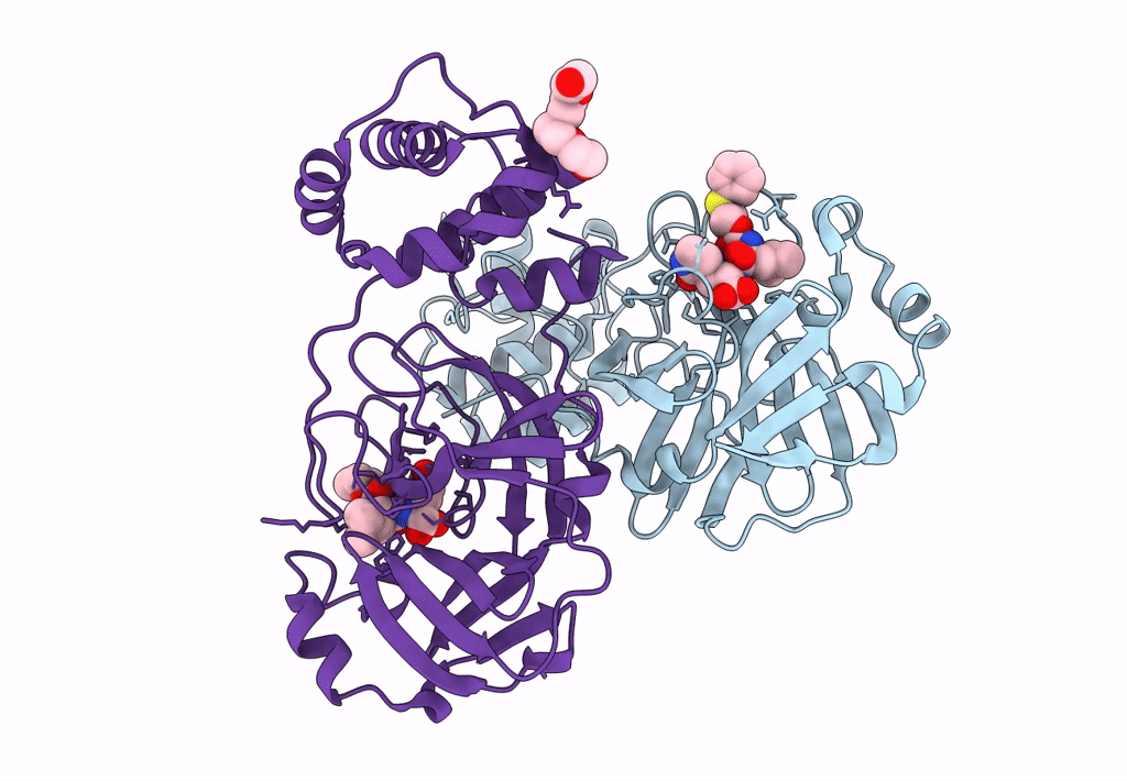 8E63 image