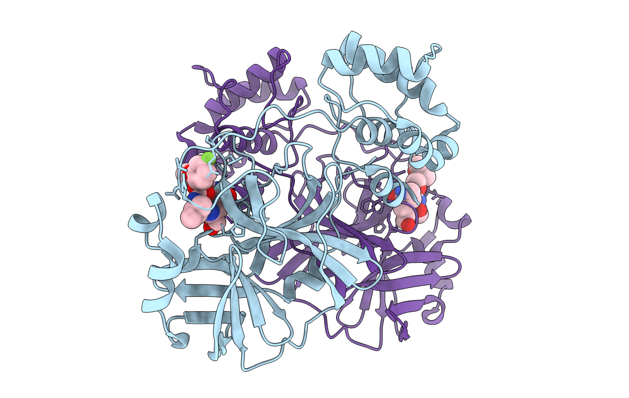 8E69 image