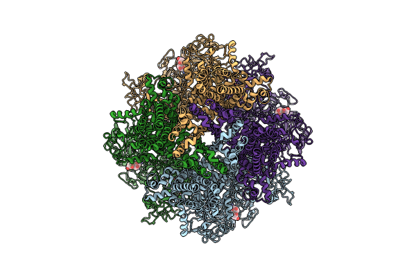 8E6Q image