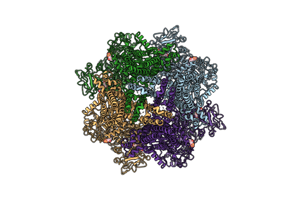8E6R image