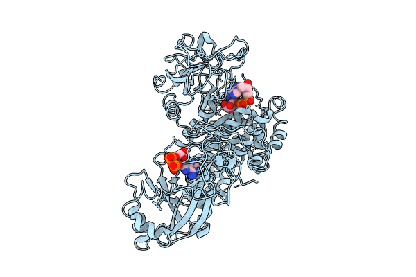 8E6V image