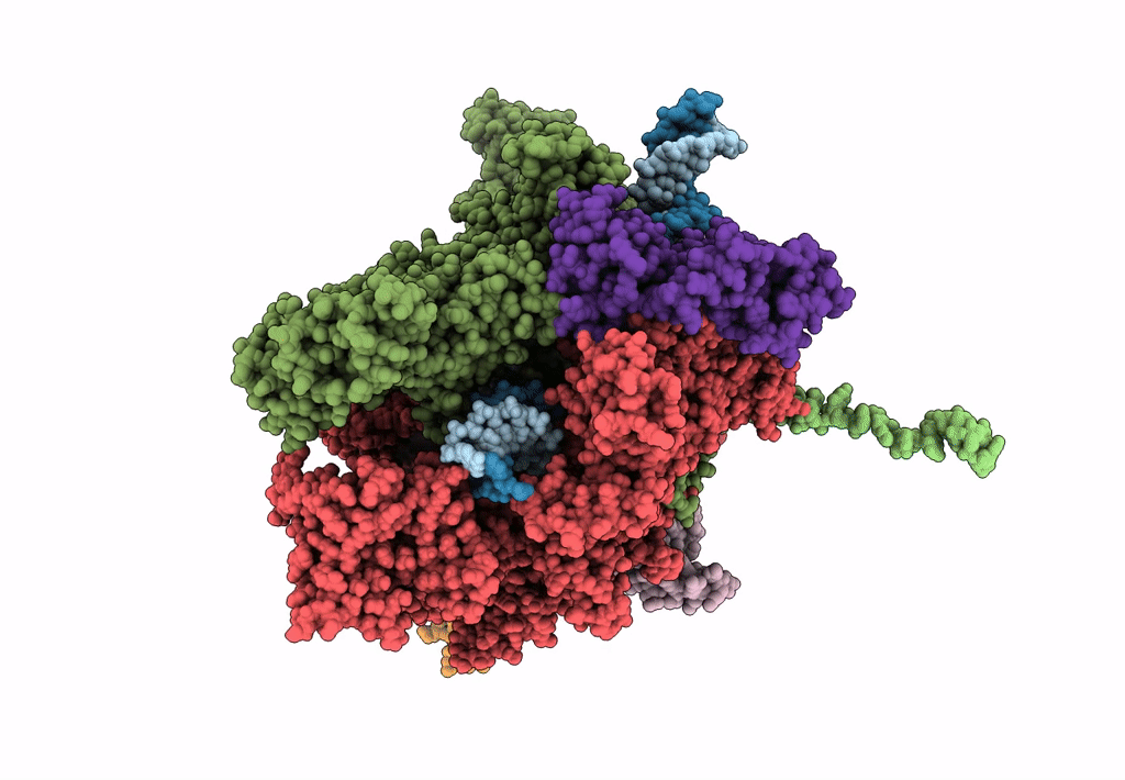 8E6X image