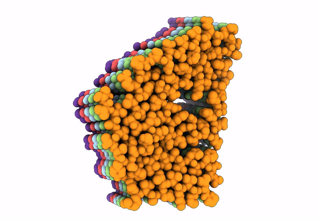 8E7D image