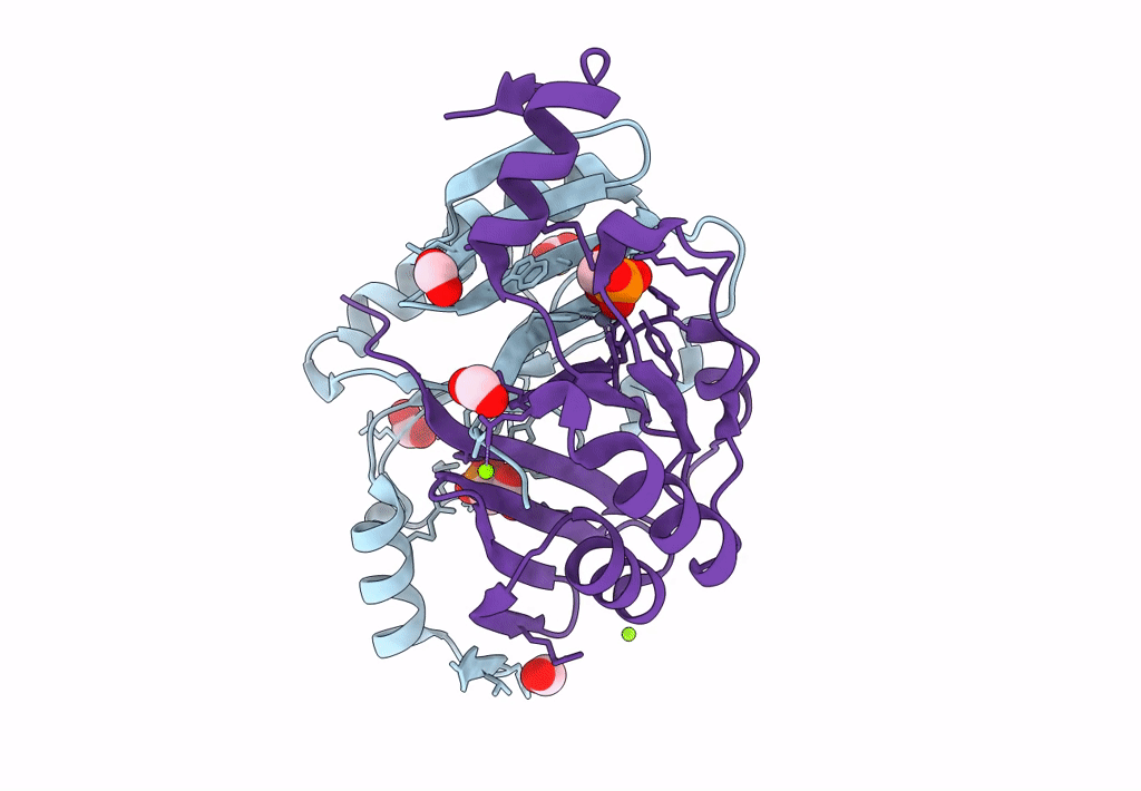 8E7R image