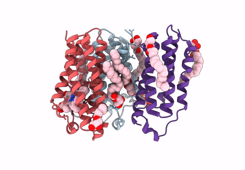8E7X image