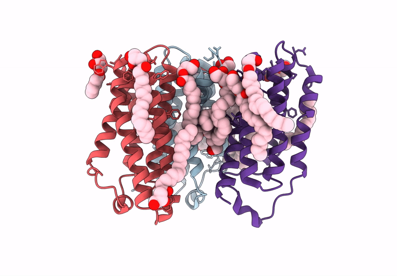 8E7Z image