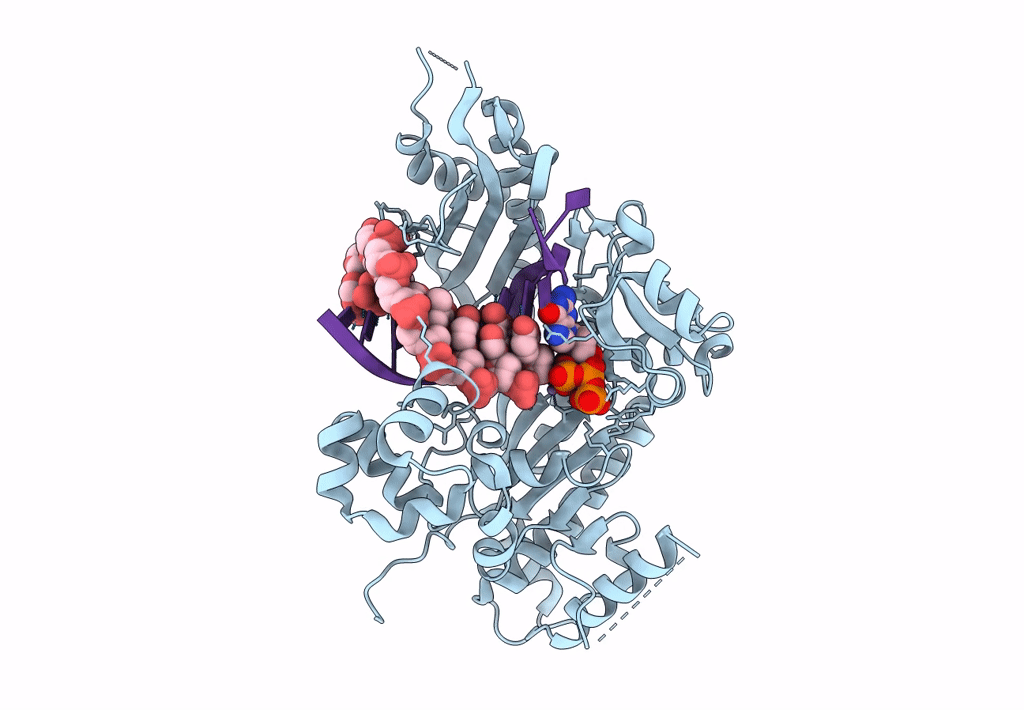 8E8C image