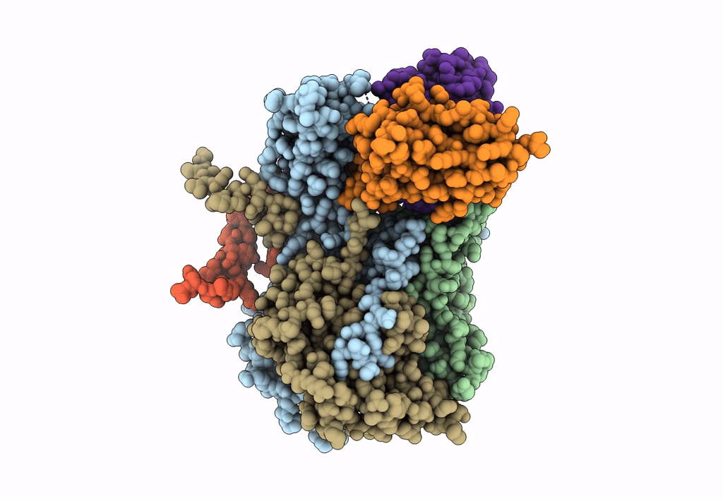 8E8R image