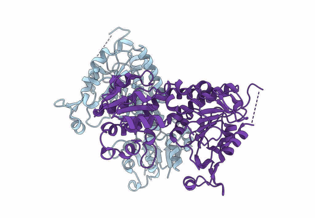 8E8T image