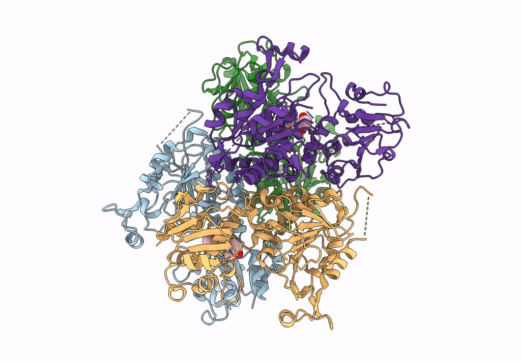 8E8V image