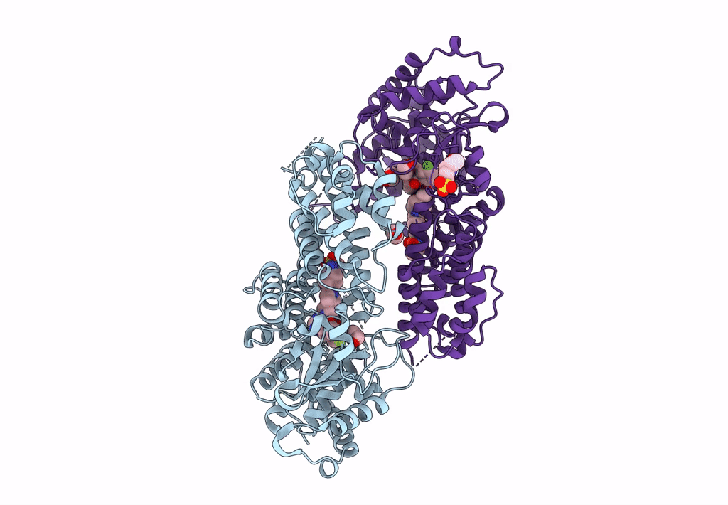 8E90 image