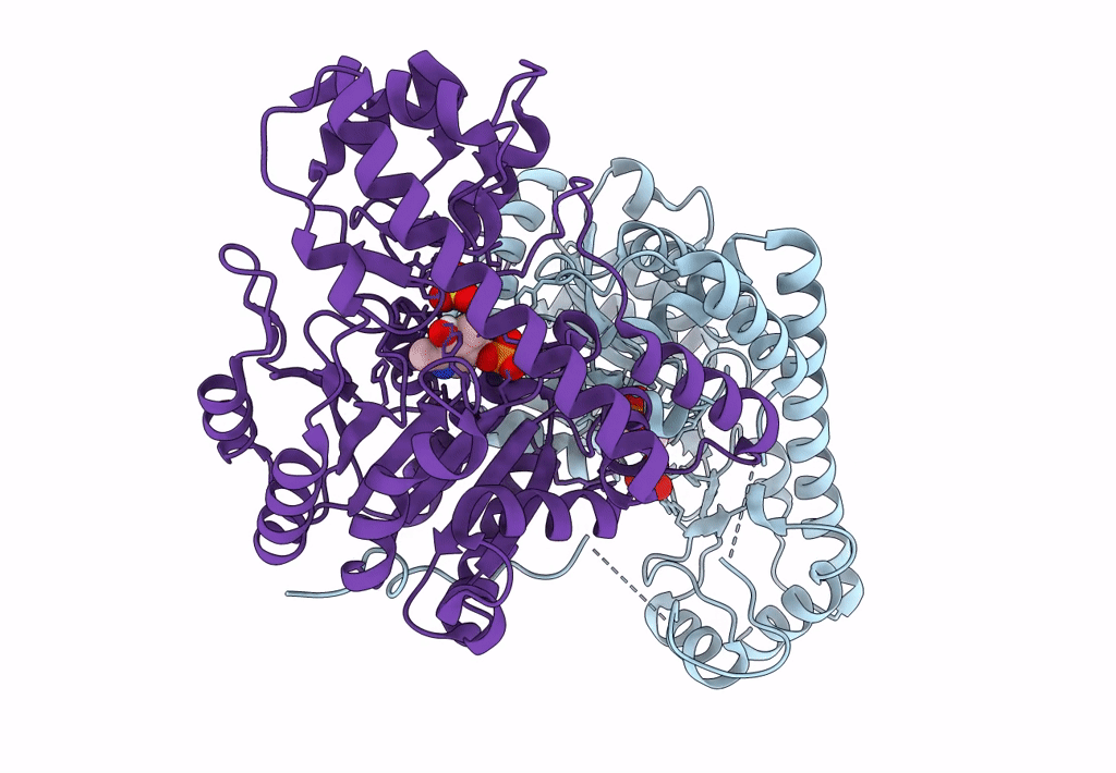 8E9C image