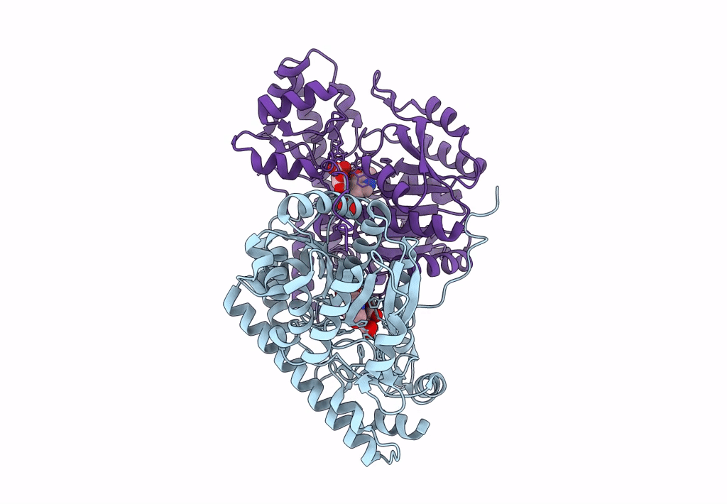 8E9D image