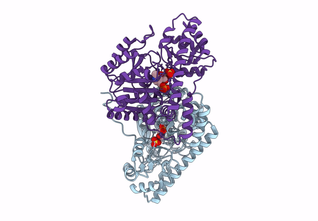 8E9V image