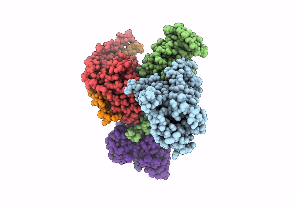 8E9Z image