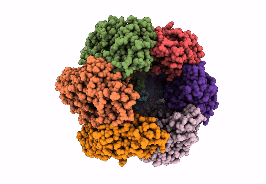 8EAP image