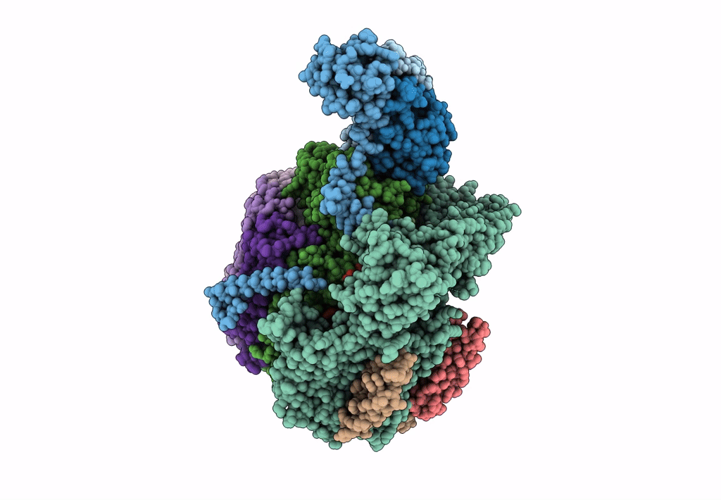 8EAS image
