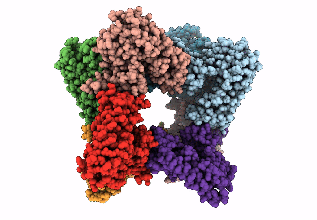 8EAX image