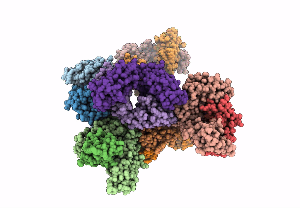 8EB2 image