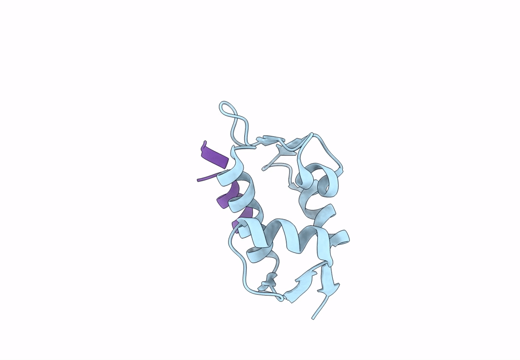 8EBK image