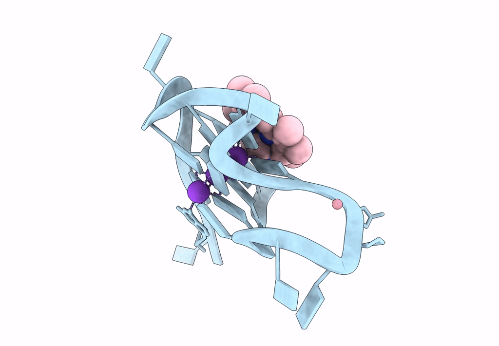 8EBO image