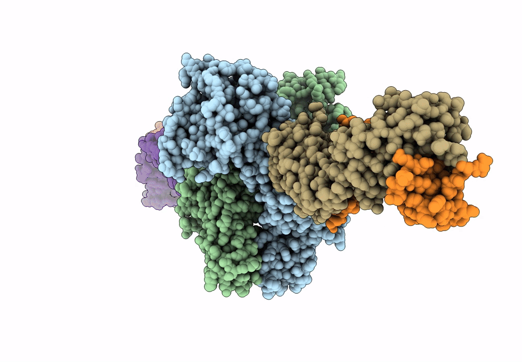8EBP image