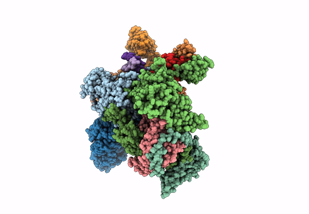 8EBX image
