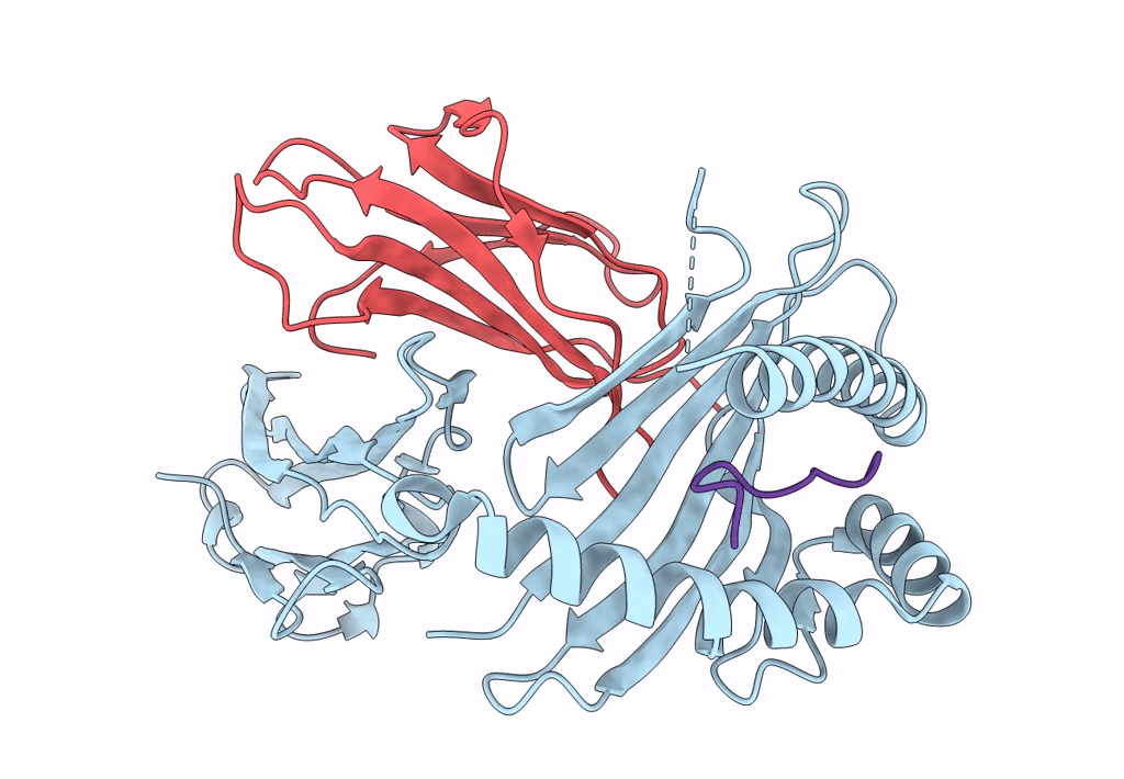 8EC5 image