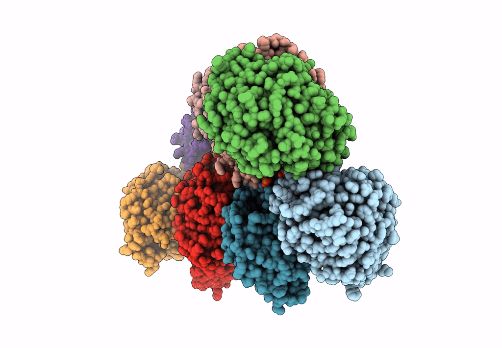8EC6 image