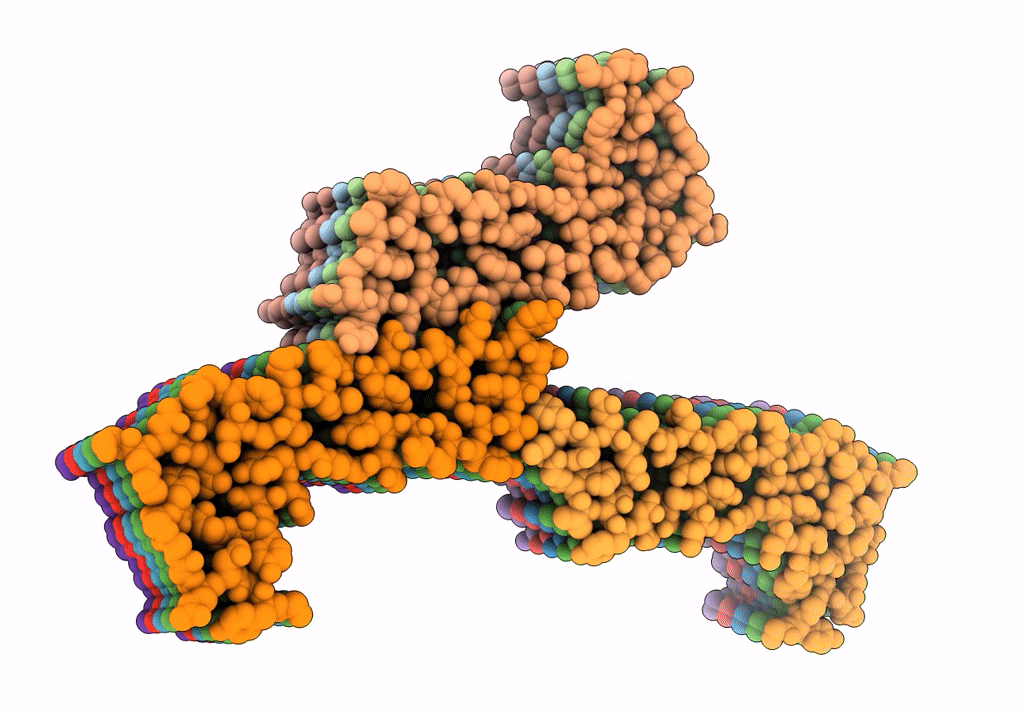 8EC7 image