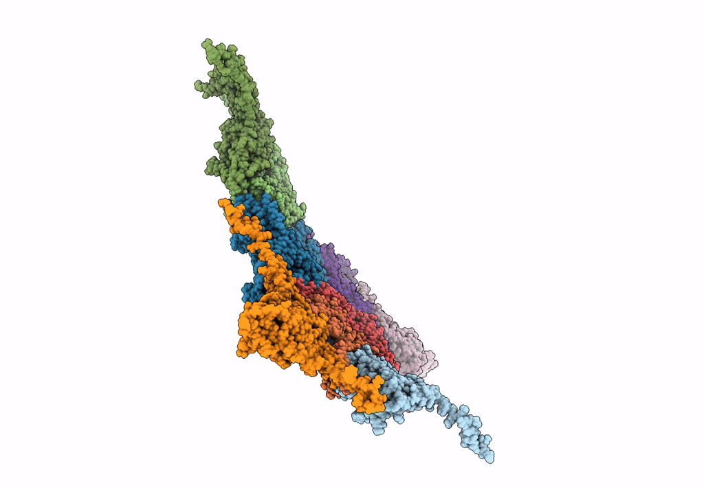 8ECJ image