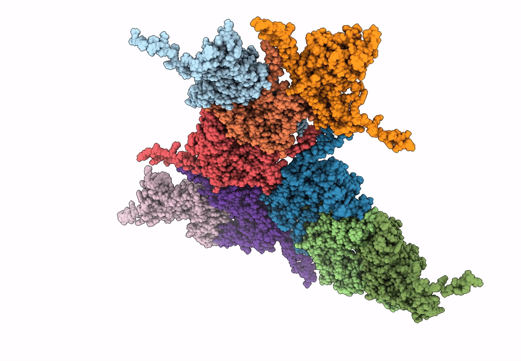 8ECN image