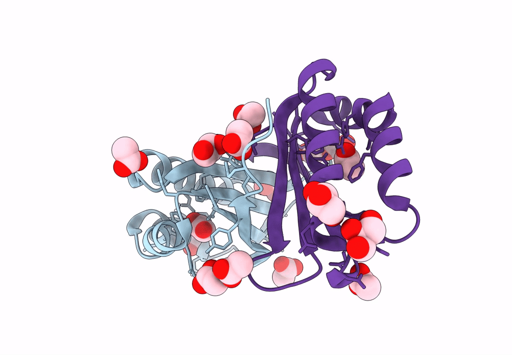 8ECP image