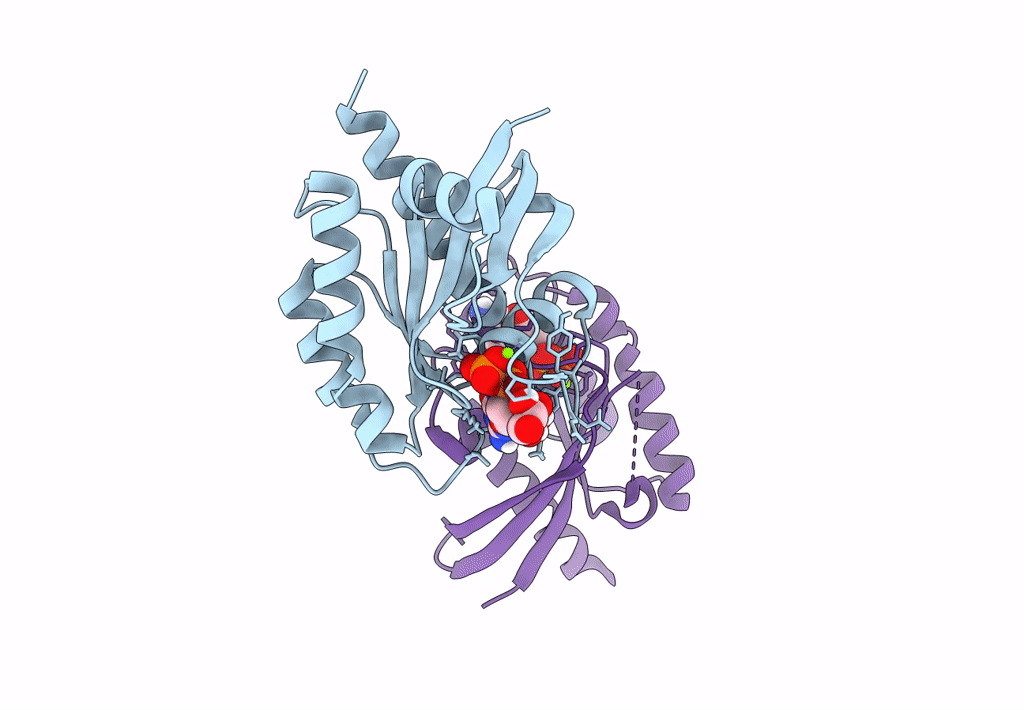 8ECR image