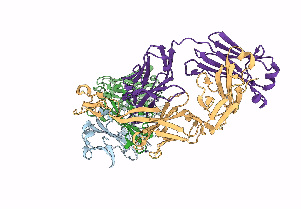 8ECV image