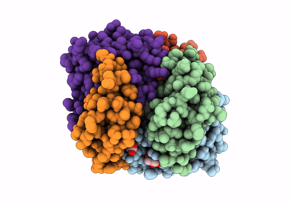 8ECX image