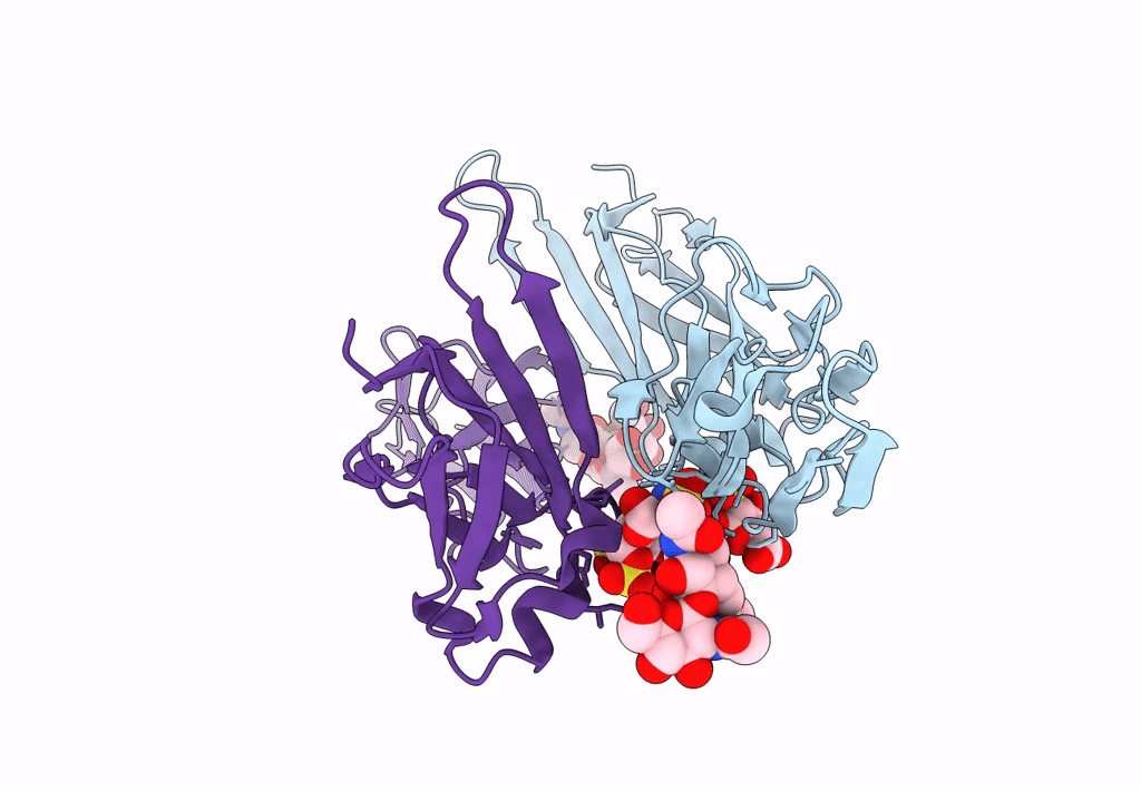8EDI image