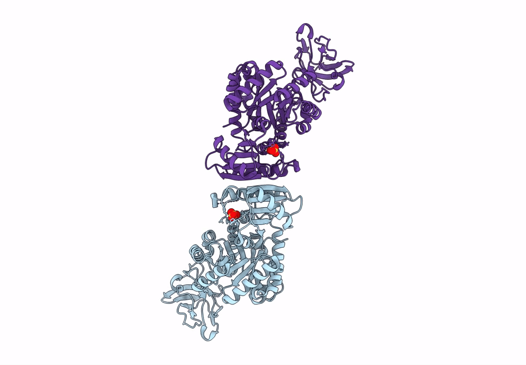 8EDS image