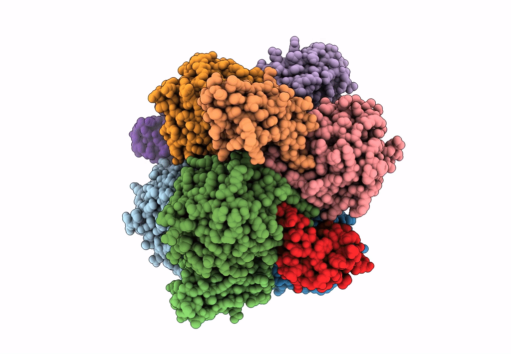 8EE2 image