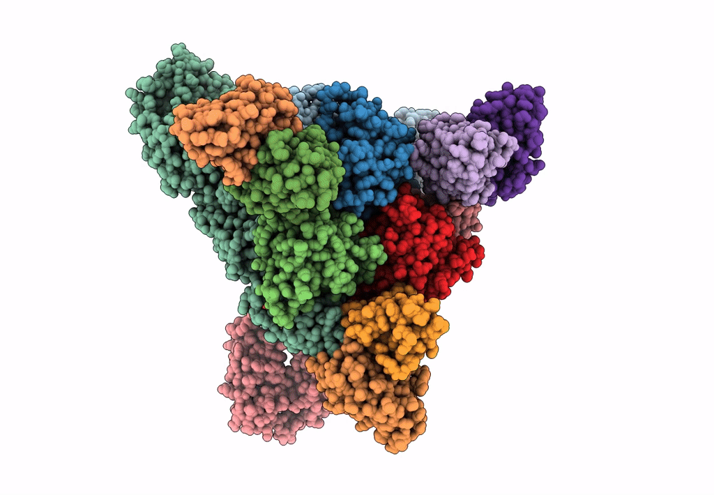 8EEV image