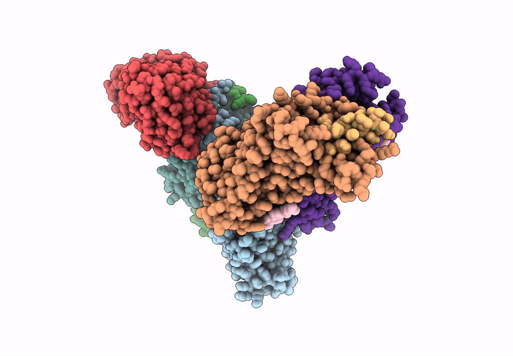 8EF6 image