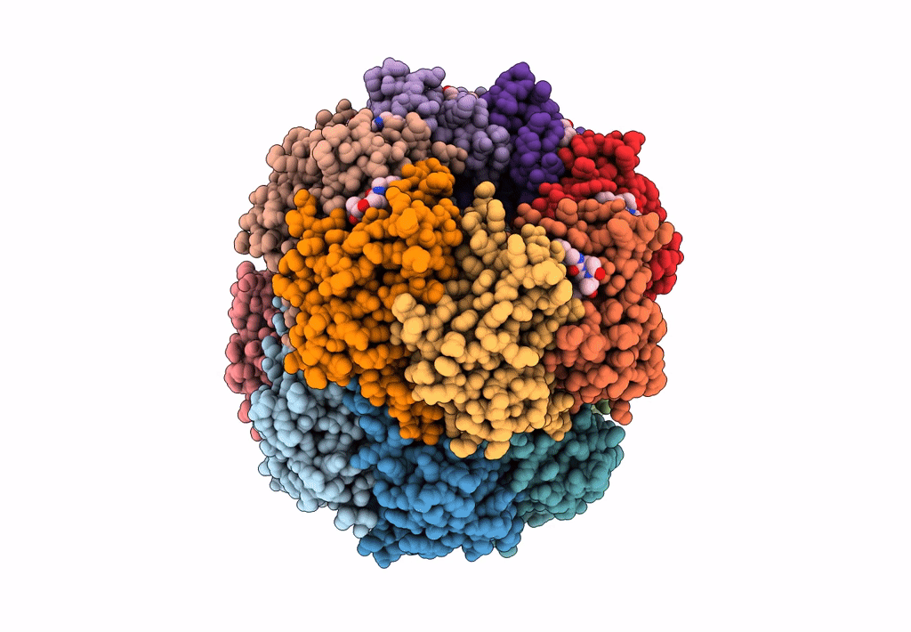 8EF8 image