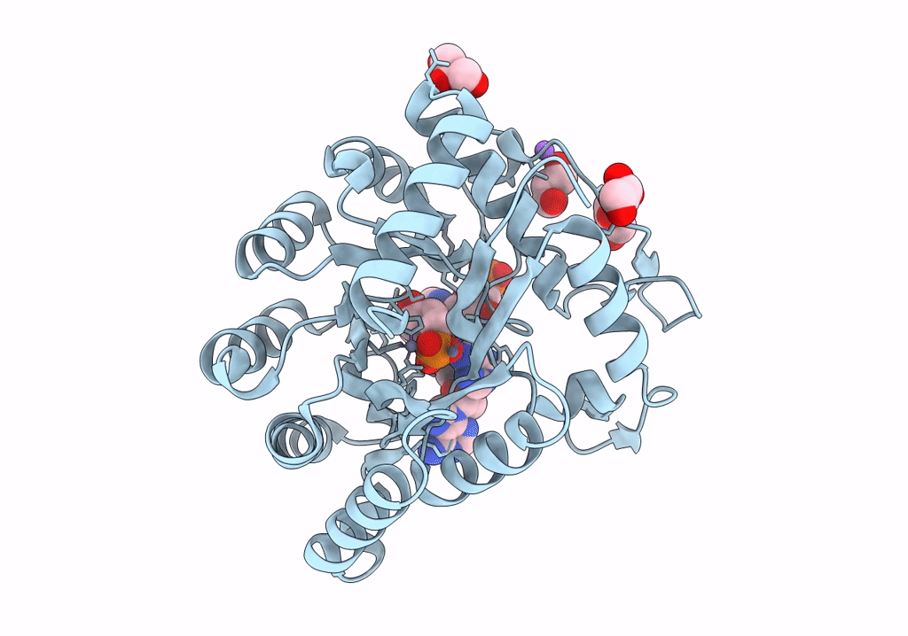 8EFG image